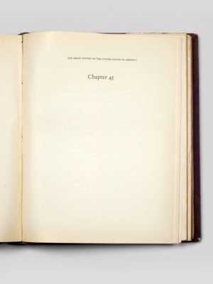 Chapter 45