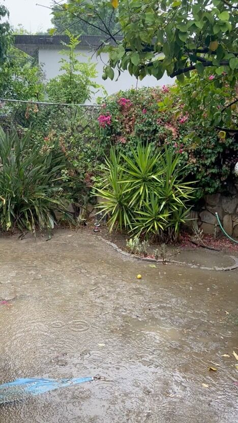 Let’s play apocalypse bingo! Los Angeles today…hurricane, flash flood, and earthquake. 💜🦋🌈